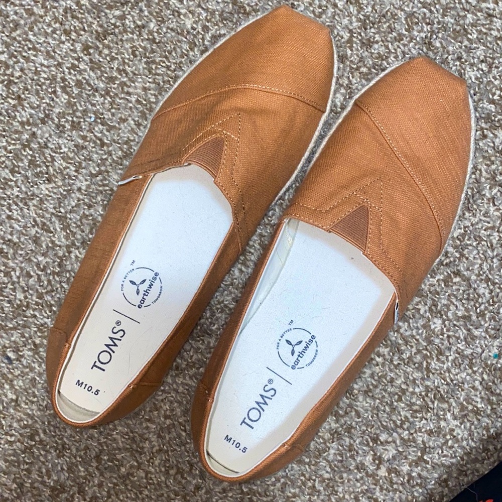 TOMS